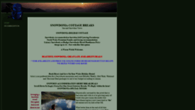 What Snowdoniabreaks.co.uk website looked like in 2020 (4 years ago)