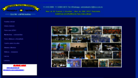 What Sipat.adm.br website looked like in 2020 (4 years ago)