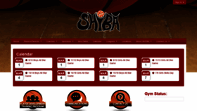 What Shyba.org website looked like in 2020 (4 years ago)