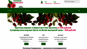 What Supermalina.ru website looked like in 2020 (4 years ago)