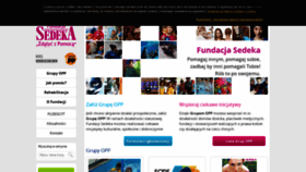 What Sedeka.pl website looked like in 2020 (4 years ago)