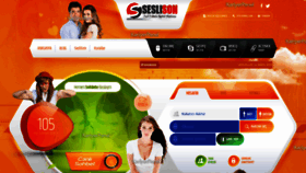 What Seslison.com website looked like in 2020 (4 years ago)