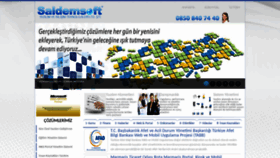 What Saldemsoft.net website looked like in 2020 (4 years ago)