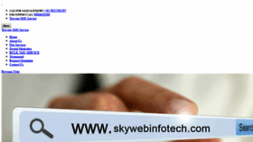 What Skywebinfotech.com website looked like in 2020 (4 years ago)
