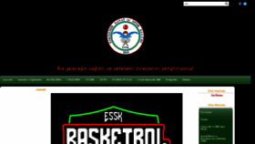 What Sanatspor.com website looked like in 2020 (4 years ago)