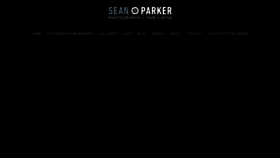 What Sean-parker.com website looked like in 2020 (4 years ago)