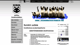 What Surok.fi website looked like in 2020 (4 years ago)