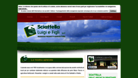 What Sciattella.net website looked like in 2020 (4 years ago)
