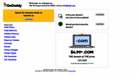 What Solymar.us website looked like in 2020 (4 years ago)