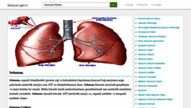 What Solunum.gen.tr website looked like in 2020 (5 years ago)