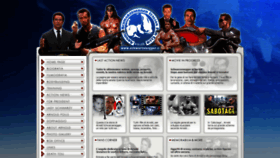 What Schwarzenegger.it website looked like in 2020 (4 years ago)