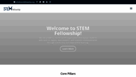 What Stemfellowship.org website looked like in 2020 (4 years ago)