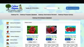 What Sadimderevo.ru website looked like in 2020 (4 years ago)