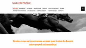 What Selleriepicaud.fr website looked like in 2020 (4 years ago)