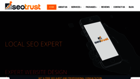 What Seotrust.us website looked like in 2020 (4 years ago)