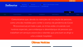 What Salineira.com.br website looked like in 2020 (4 years ago)