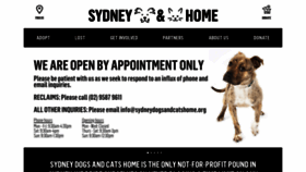 What Sydneydogsandcatshome.org website looked like in 2020 (4 years ago)