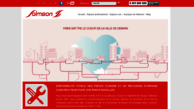 What Salmson.com website looked like in 2020 (4 years ago)