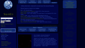 What Squidco.com website looked like in 2020 (4 years ago)