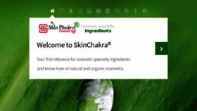 What Skinchakra.eu website looked like in 2020 (4 years ago)