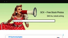 What Scx.hu website looked like in 2020 (4 years ago)