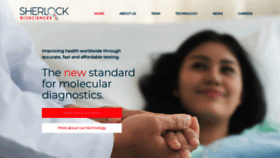 What Sherlock.bio website looked like in 2020 (6 years ago)