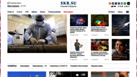 What Skr.su website looked like in 2020 (4 years ago)