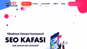 What Seokafasi.com website looked like in 2020 (4 years ago)