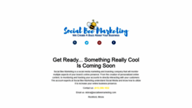 What Socialbeemarketing.com website looked like in 2020 (4 years ago)