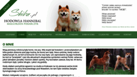What Shiba.pl website looked like in 2020 (4 years ago)