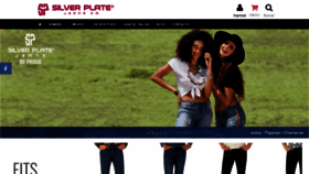 What Silverplate.com.mx website looked like in 2020 (4 years ago)