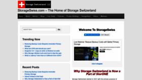 What Storageswiss.com website looked like in 2020 (4 years ago)