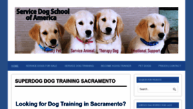 What Superdog.com website looked like in 2020 (4 years ago)