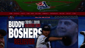 What Somersetpatriots.com website looked like in 2020 (3 years ago)