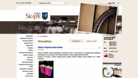 What Skape.pl website looked like in 2020 (3 years ago)