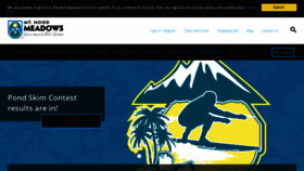 What Skihood.com website looked like in 2020 (3 years ago)