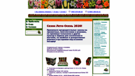 What Semechki.ru website looked like in 2020 (3 years ago)