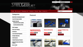 What Steelgear.net website looked like in 2020 (3 years ago)
