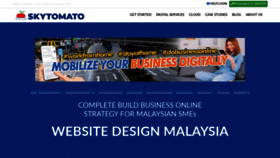 What Skytomato.my website looked like in 2020 (3 years ago)