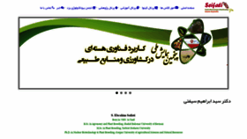 What Seifati.com website looked like in 2020 (3 years ago)