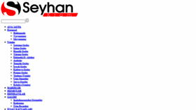 What Seyhankrom.com website looked like in 2020 (3 years ago)