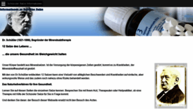 What Schuessler-salze-informationen.de website looked like in 2020 (3 years ago)