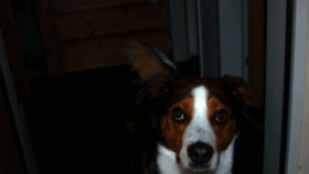 What Stoerck.at website looked like in 2020 (5 years ago)