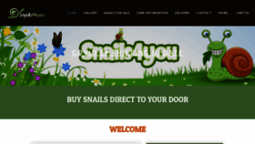 What Snails4you.com website looked like in 2020 (3 years ago)