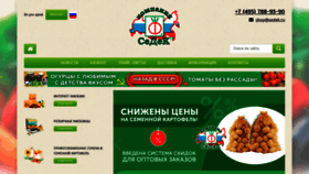What Sedek.ru website looked like in 2020 (3 years ago)