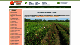 What Slavasad.com.ua website looked like in 2020 (3 years ago)
