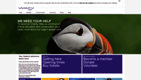 What Seabird.org website looked like in 2020 (3 years ago)