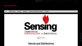 What Sensingsrl.com website looked like in 2020 (3 years ago)