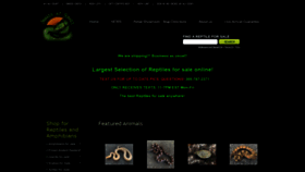 What Snakesatsunset.com website looked like in 2020 (3 years ago)