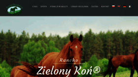 What Stajniazielonykon.pl website looked like in 2020 (3 years ago)